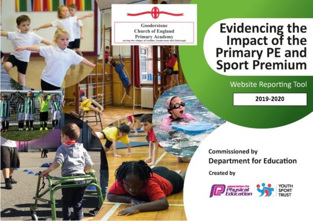 thumbnail of Primary Sports PE Premium 2019 good