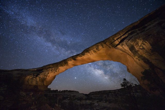 53 National Geographic Nature Photos to Inspire Happiness