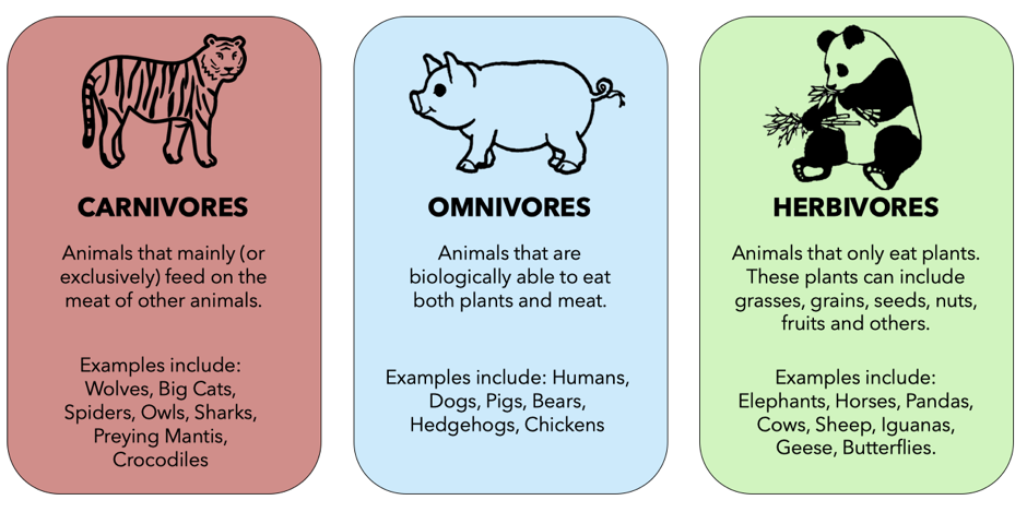 Have diets across the animal kingdom changed over time? | Evolution Letters